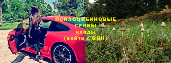 прущий лед Арсеньев