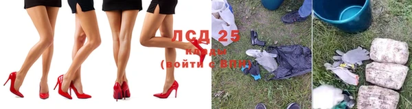 индика Алексеевка