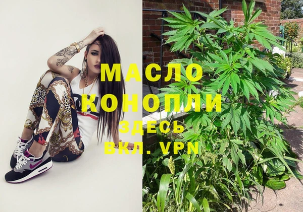 индика Алексеевка