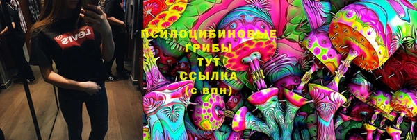 спиды Сафоново