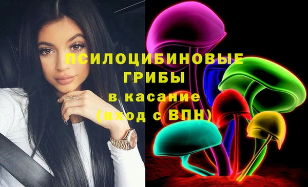 а пвп мука Саяногорск